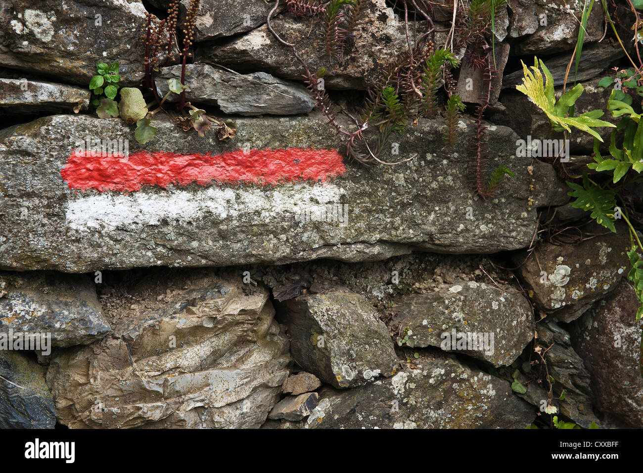 Red and white flash markings that guide walkers in Europe. Stock Photo