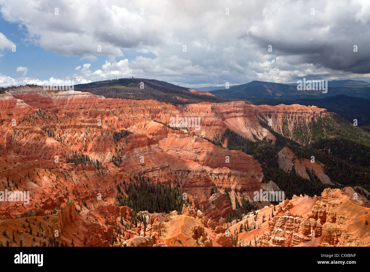 A thunderstorm forms over the ampitheater at Cedar Breaks National Monument. Stock Photo