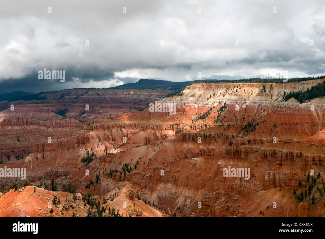 A thunderstorm forms over the ampitheater at Cedar Breaks National Monument Stock Photo