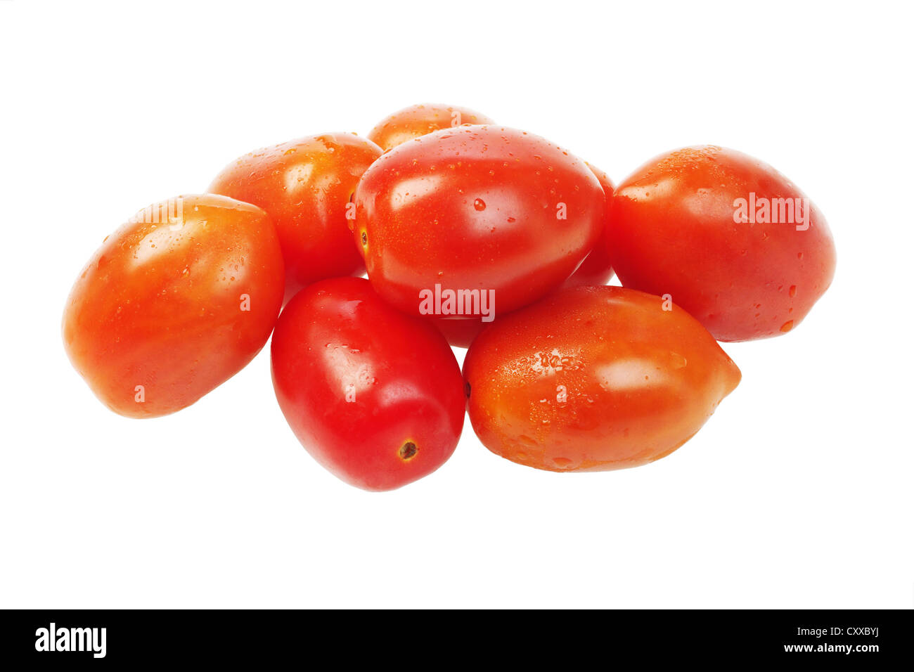 Plum Tomatoes on White Background Stock Photo