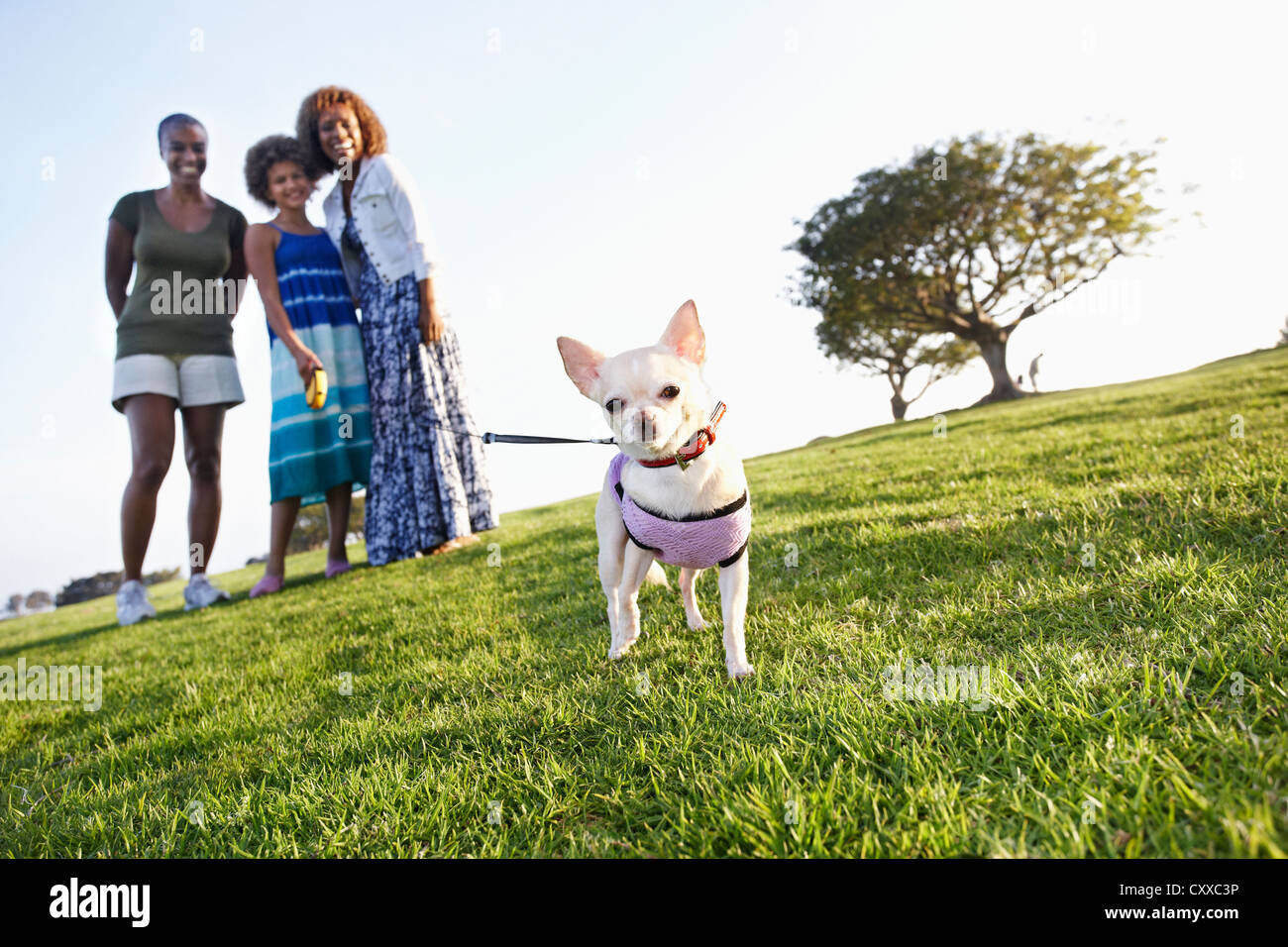 African girl walking with dog hi-res stock photography and images - Alamy