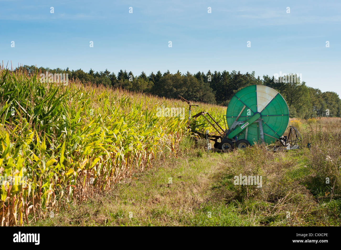 Water jet hose reel system in the corn field Stock Photo Alamy
