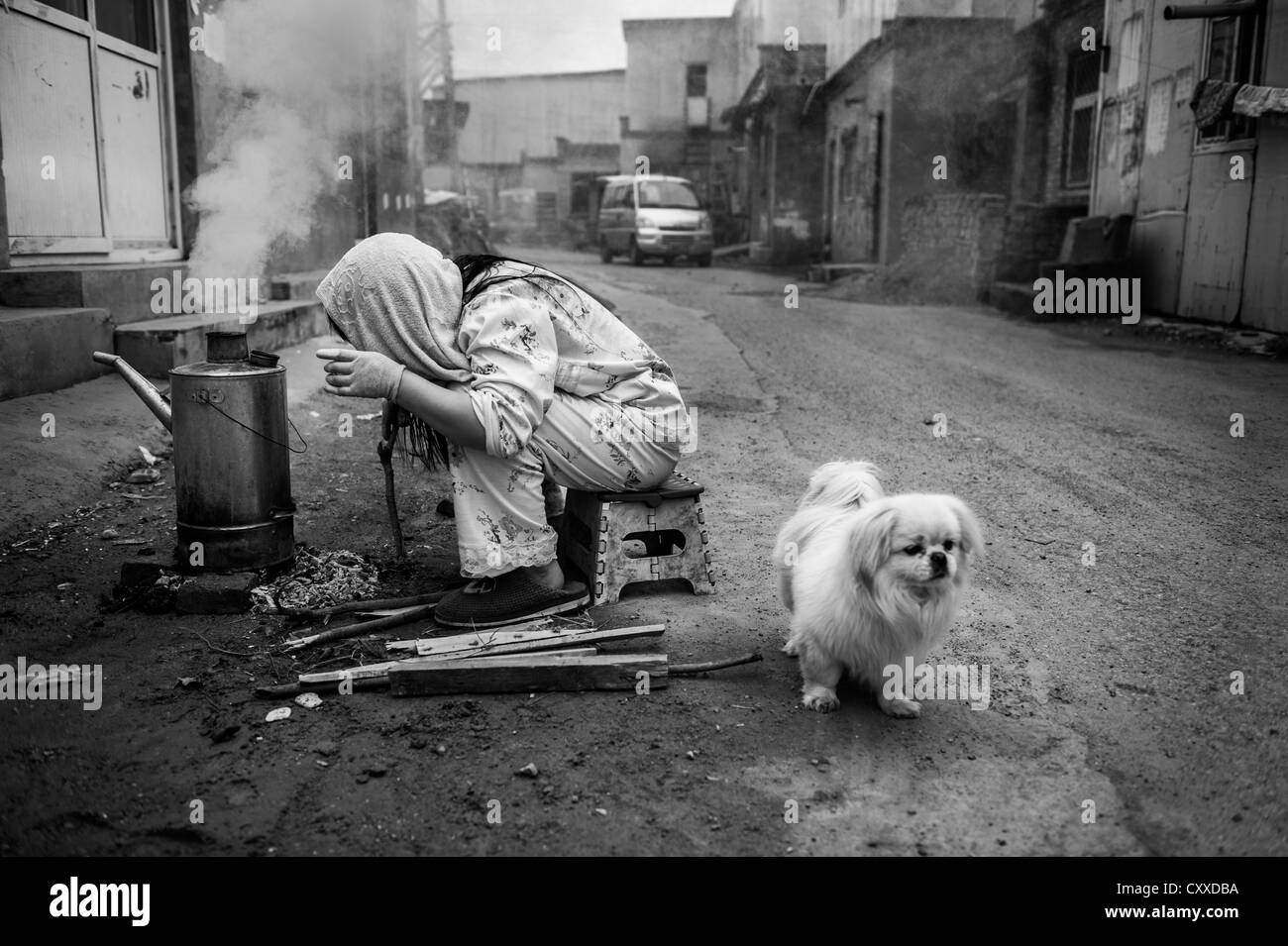 Woman with dog, boiling water on the street in Sunhe, an area of Beijing mainly populated by migrant workers Stock Photo