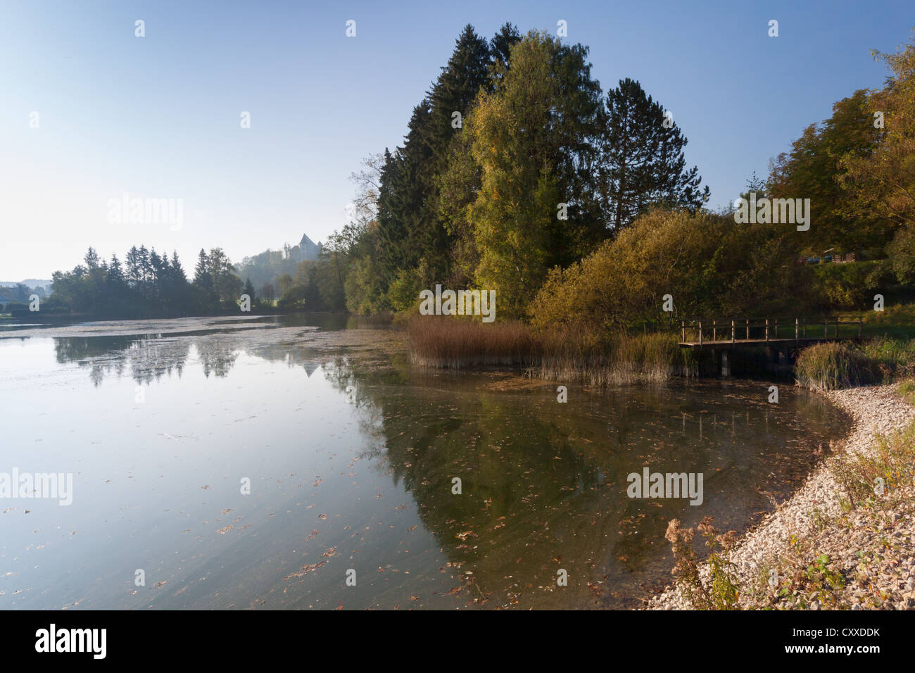 The natural outdoor swimming pool in Bad Groenenbach in the morning light, Allgaeu, Bavaria Stock Photo