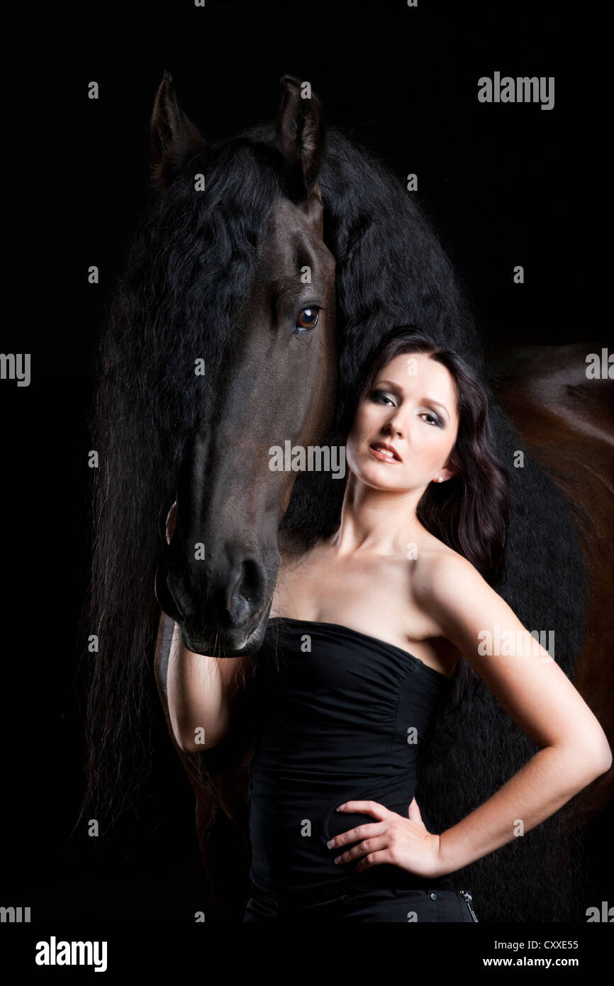 Friesian or Frisian horse breed with young woman, gelding, black horse Stock Photo