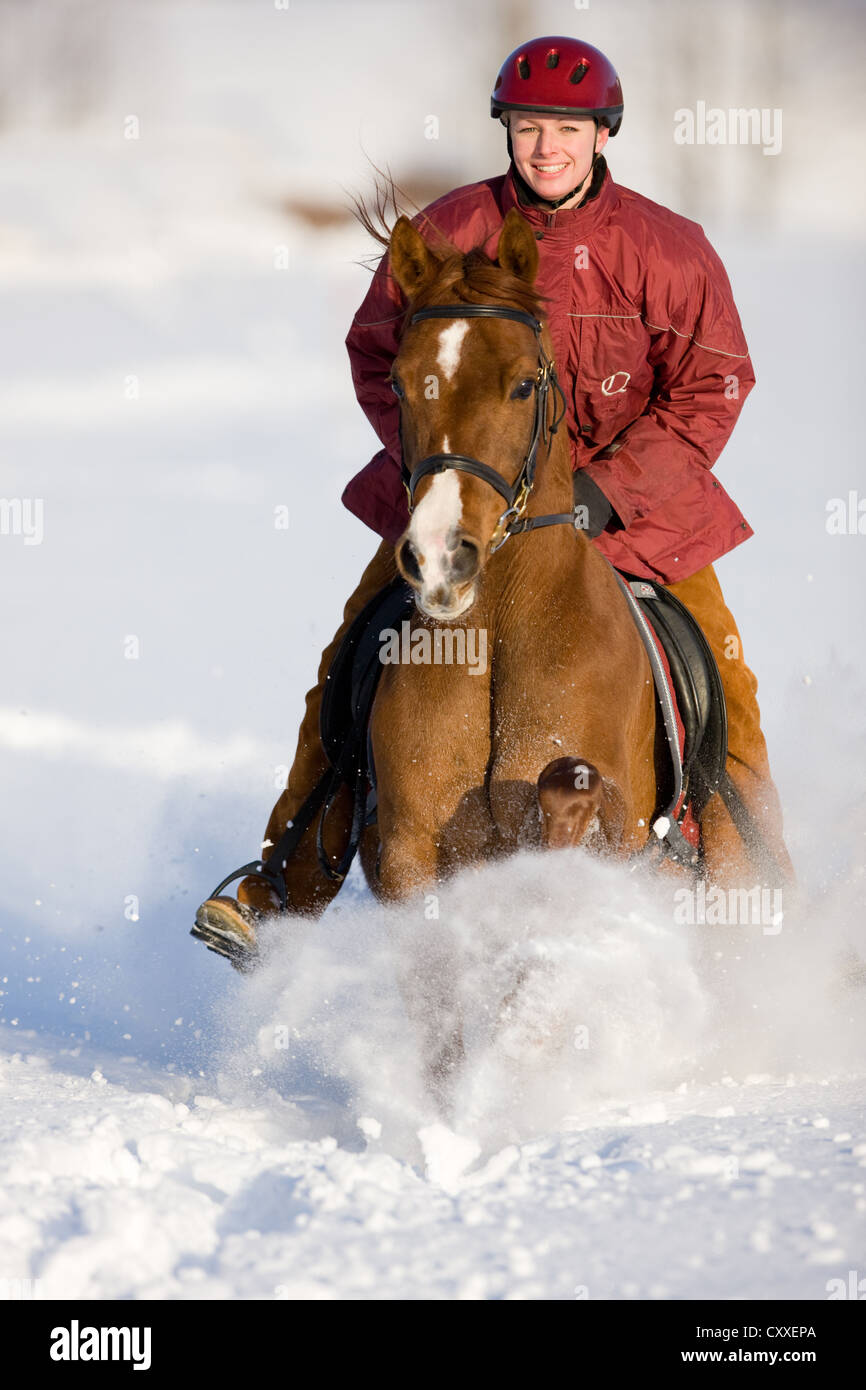 Girl galloping on a chestnut coloured Arabian mare through the snow, North Tyrol, Austria, Europe Stock Photo