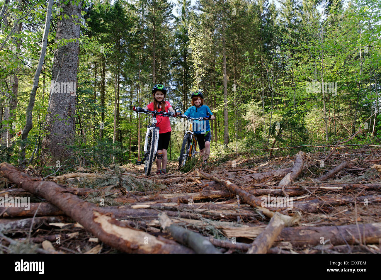 Children riding their bicycles, pushing their bikes across roots, mountain biking tour near Dietramszell, Toelzer Land region Stock Photo