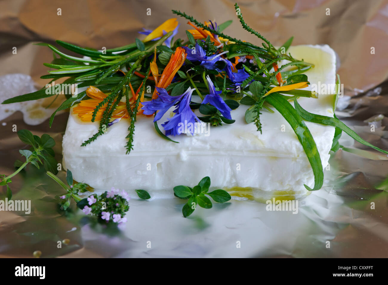 Goat's cheese for grilling, grill cheese, meatless grilling, cooking herbs, topped with marigold flowers, cornflowers, tarragon Stock Photo