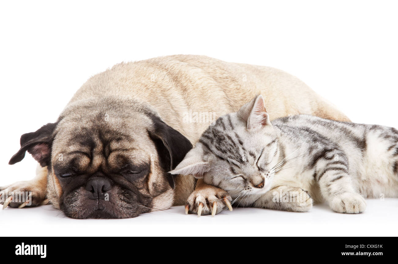 Nap taking a nap Cut Out Stock Images Pictures Alamy