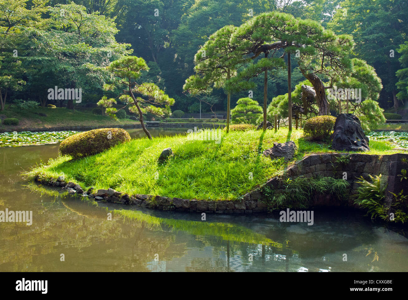 scenic Japanese pine tree on the small green island by summer time Stock Photo