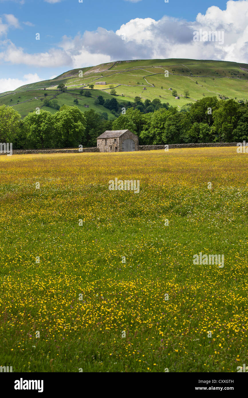 Typical Swaledale view, Yorkshire Dales National Park Stock Photo