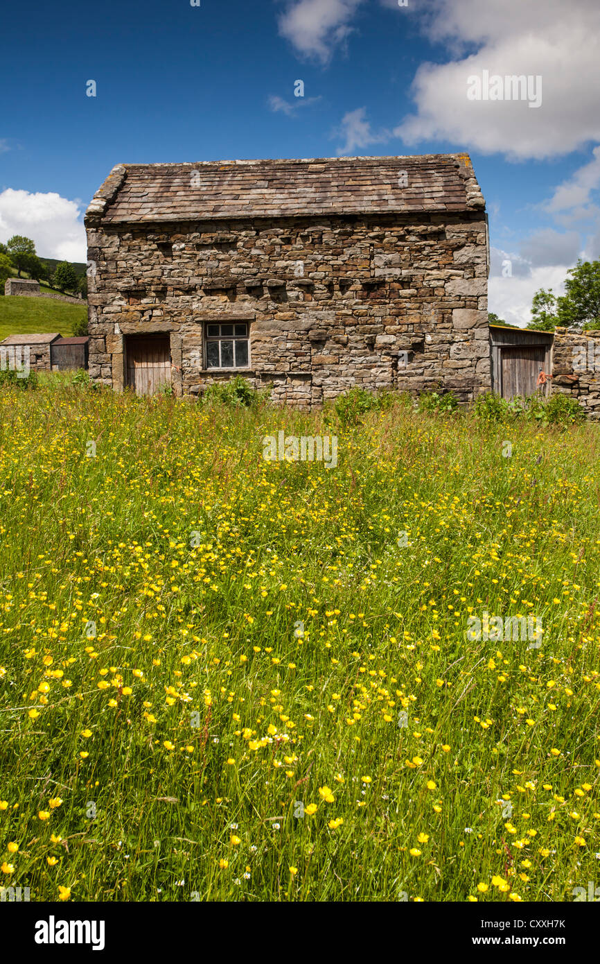 Wild Flower Meadow and Stne Barn at Muker, Swaledale, Yorkshire Dales National Park Stock Photo