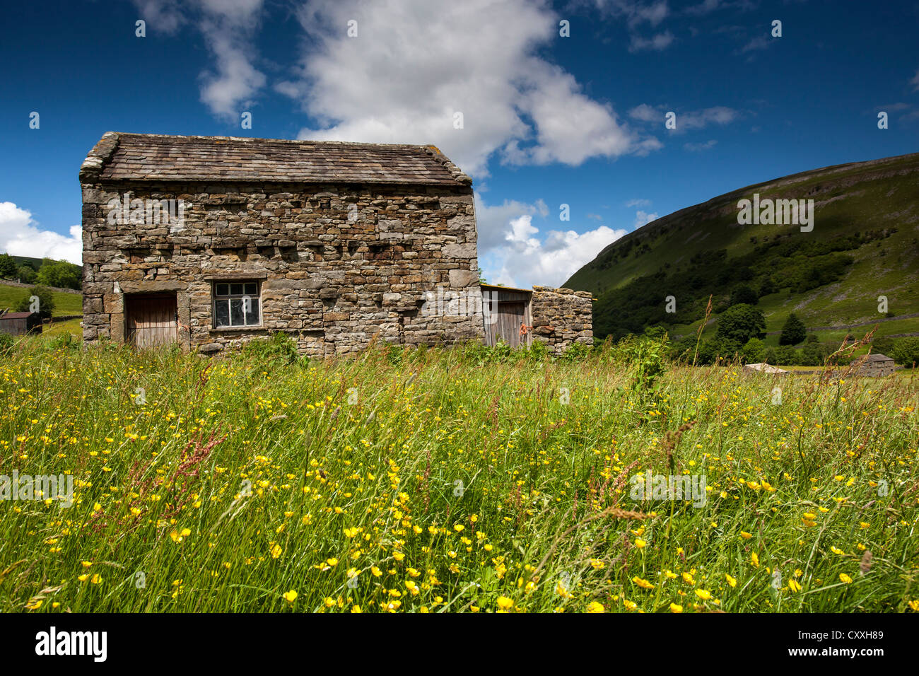 Wild Flower Meadow and stone barn at Muker, Swaledale, Yorkshire Dales National Park Stock Photo