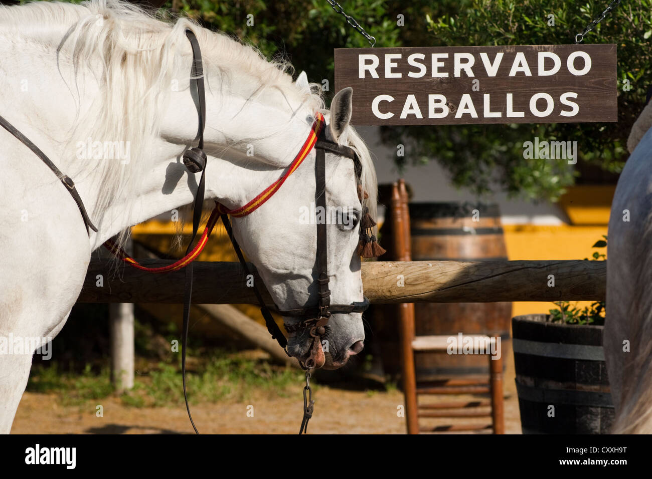 Bar and restaurant for horse-riders, Andalusian horse parked in front, El Rocio, Almonte, Huelva province, Andalusia, Spain Stock Photo