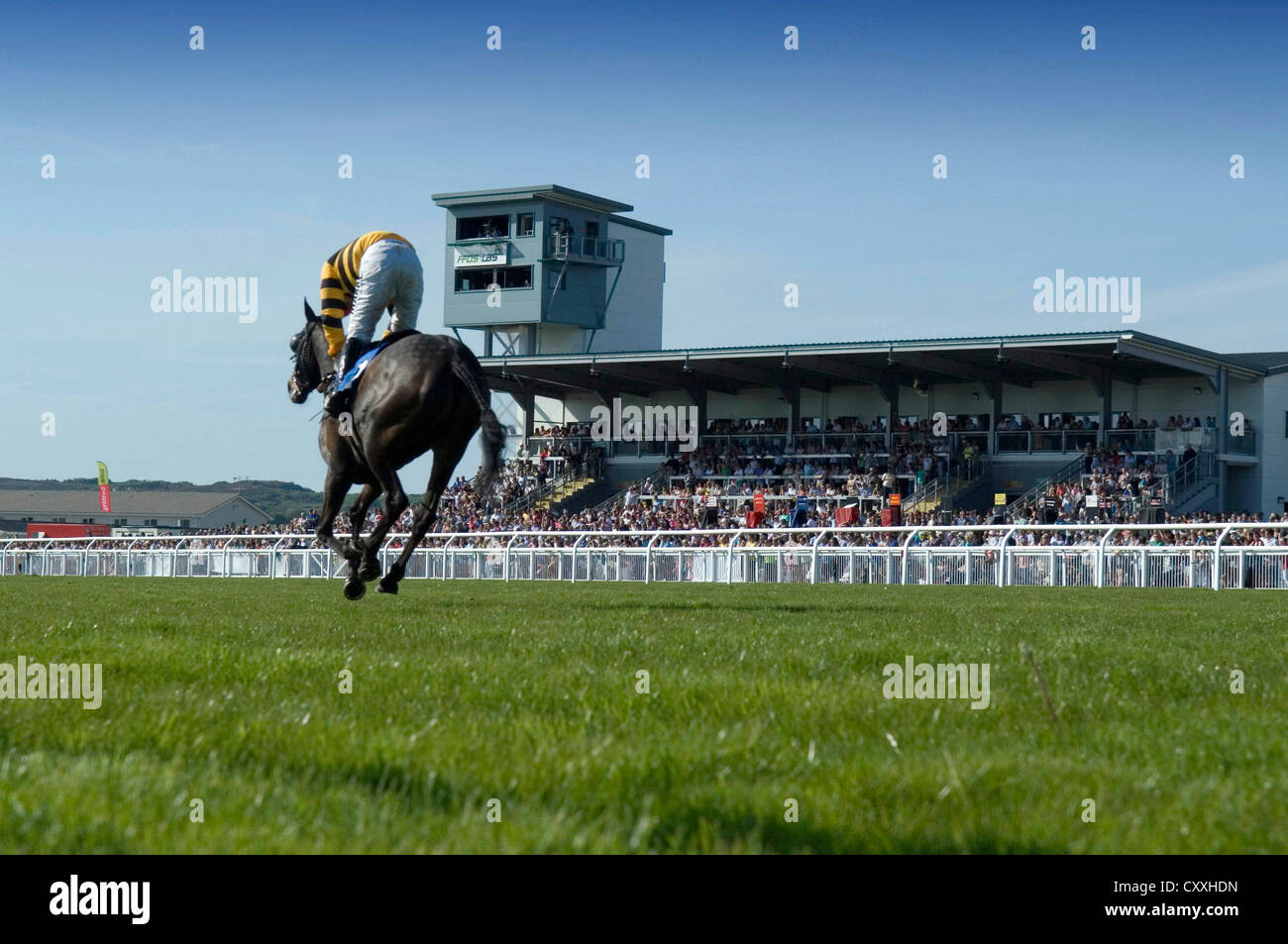 Horse racing ffos las race hi-res stock photography and images - Alamy