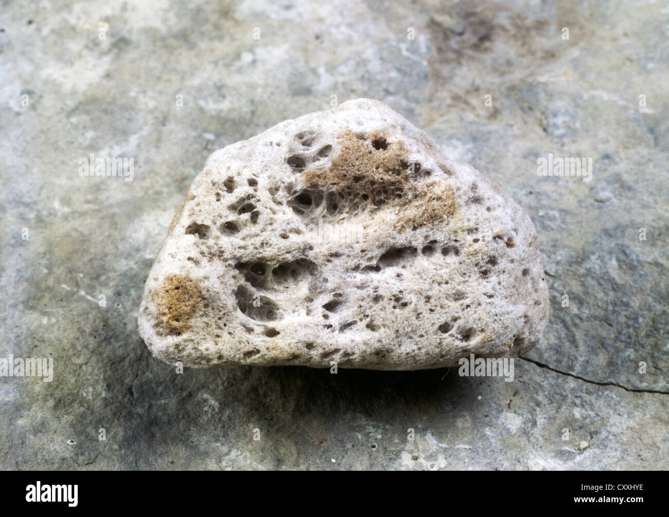 Pumice Stone Images – Browse 127,896 Stock Photos, Vectors, and Video