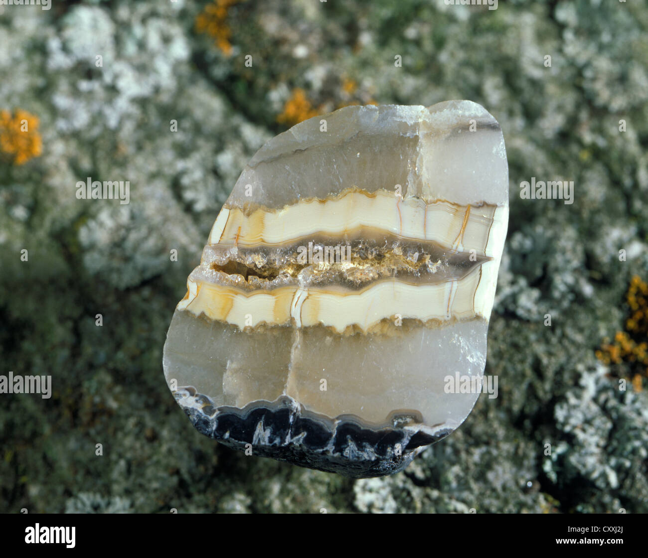 Chalcedony with enclaves of Agage from the Eifel mountains, Germany Stock Photo
