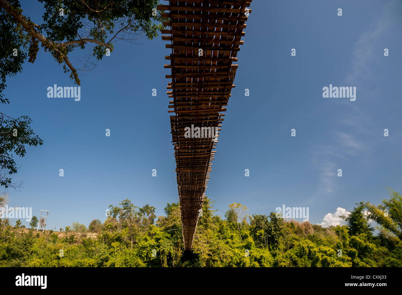 Rope bridge, bamboo forest, Northern Thailand, Thailand, Asia Stock ...