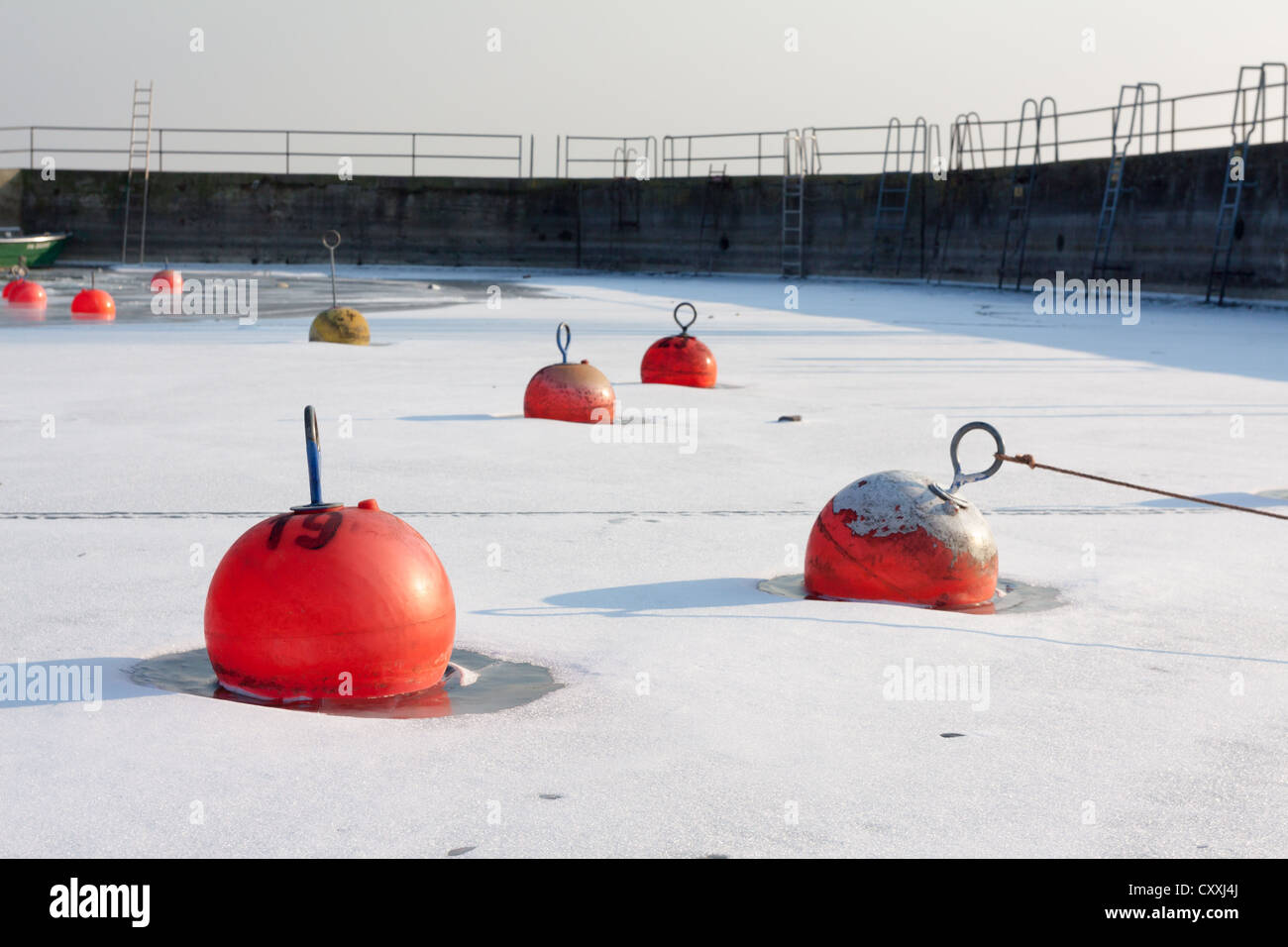 Frozen buoys in the harbour of Hagnau, Lake Constance, Baden-Wuerttemberg Stock Photo