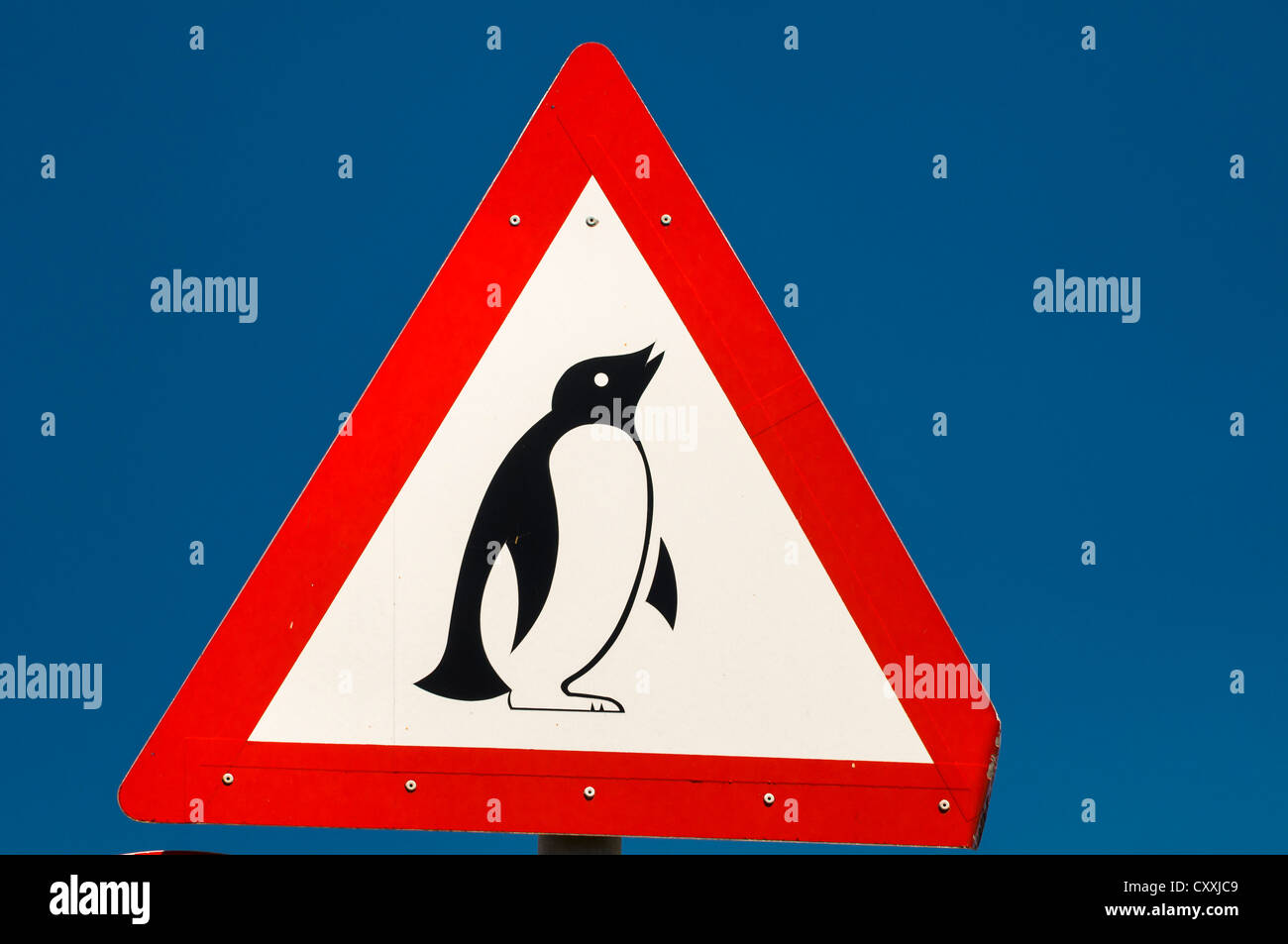 Warning sign, penguins, Cape Agulhas, Western Cape, South Africa, Africa Stock Photo