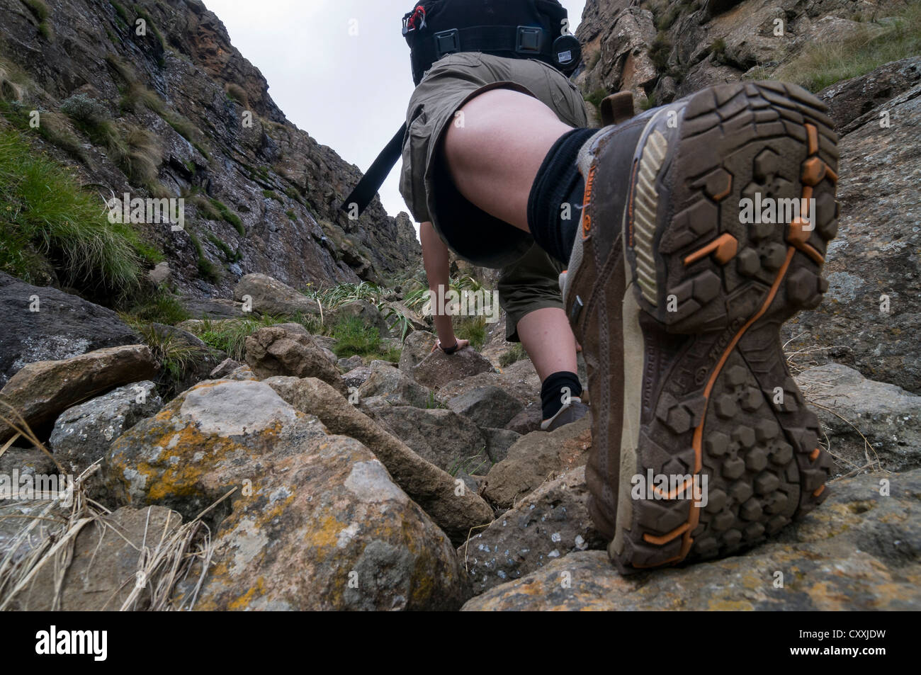 Hiking boot, woman climbing on a hiking tail, Sentinel Hiking Trail, Drakensberg Mountains, KwaZulu-Natal, South Africa, Africa Stock Photo