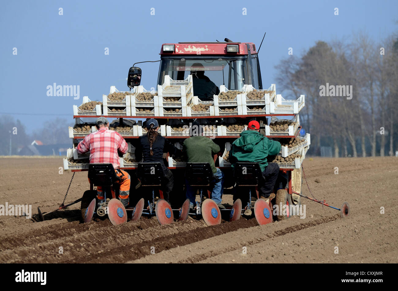Tractor, early potato planting in March in south Sweden, Europe Stock Photo