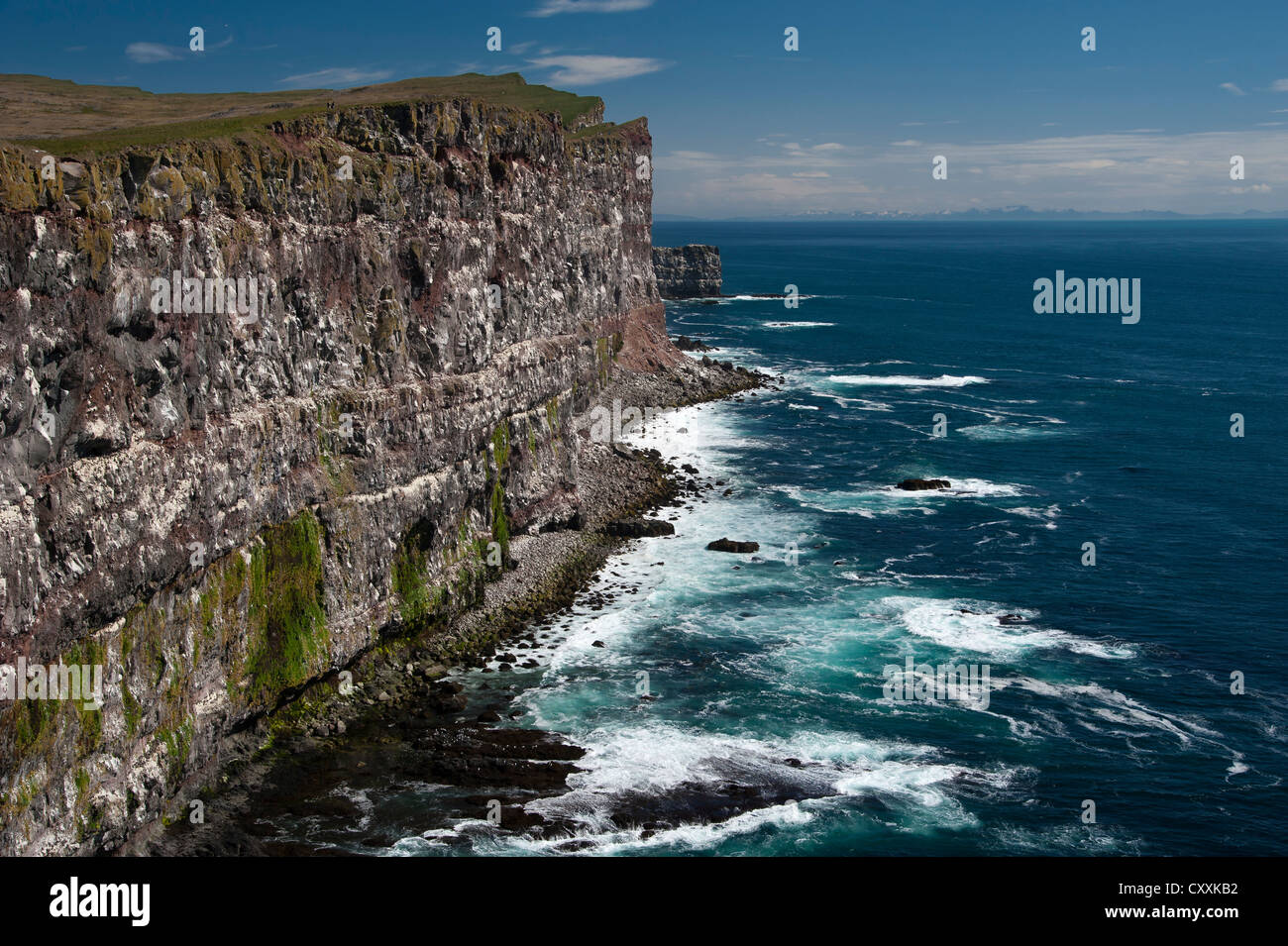 Bird cliffs of Látrabjarg, Westfjords, Iceland, Europe Stock Photo