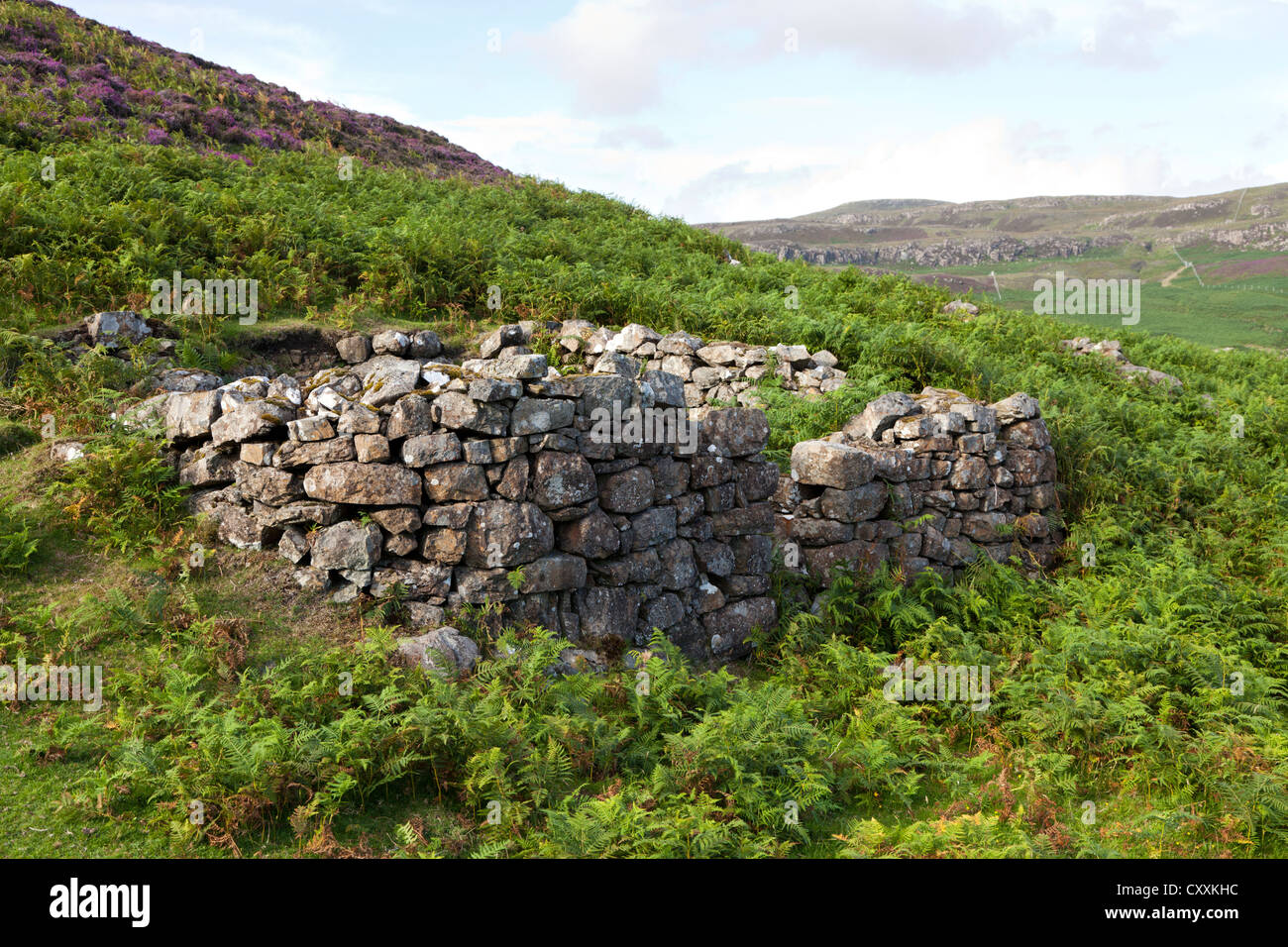 A deserted settlement at Burg, Isle of Mull, Argyll and Bute, Inner Hebrides, Scotland, UK Stock Photo