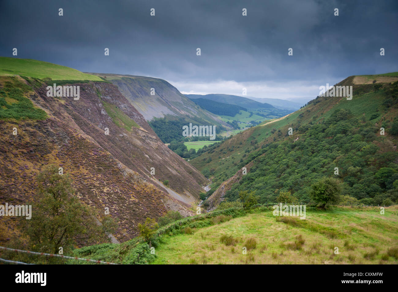 The Dylife Gorge and Afon Twymyn, Powys Mid Wales.  SCO 8682 Stock Photo