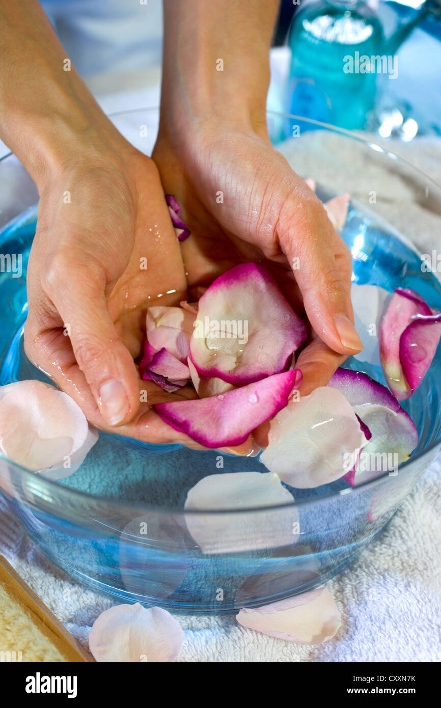 Hands, blossoms, rose petals, bath Stock Photo Alamy