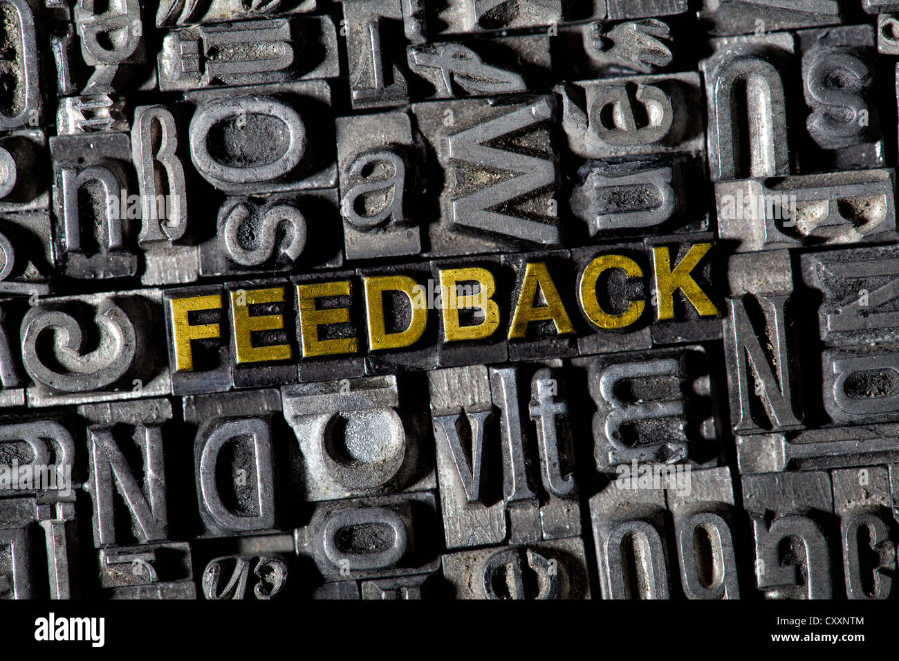 Old lead letters forming the word 'FEEDBACK' Stock Photo