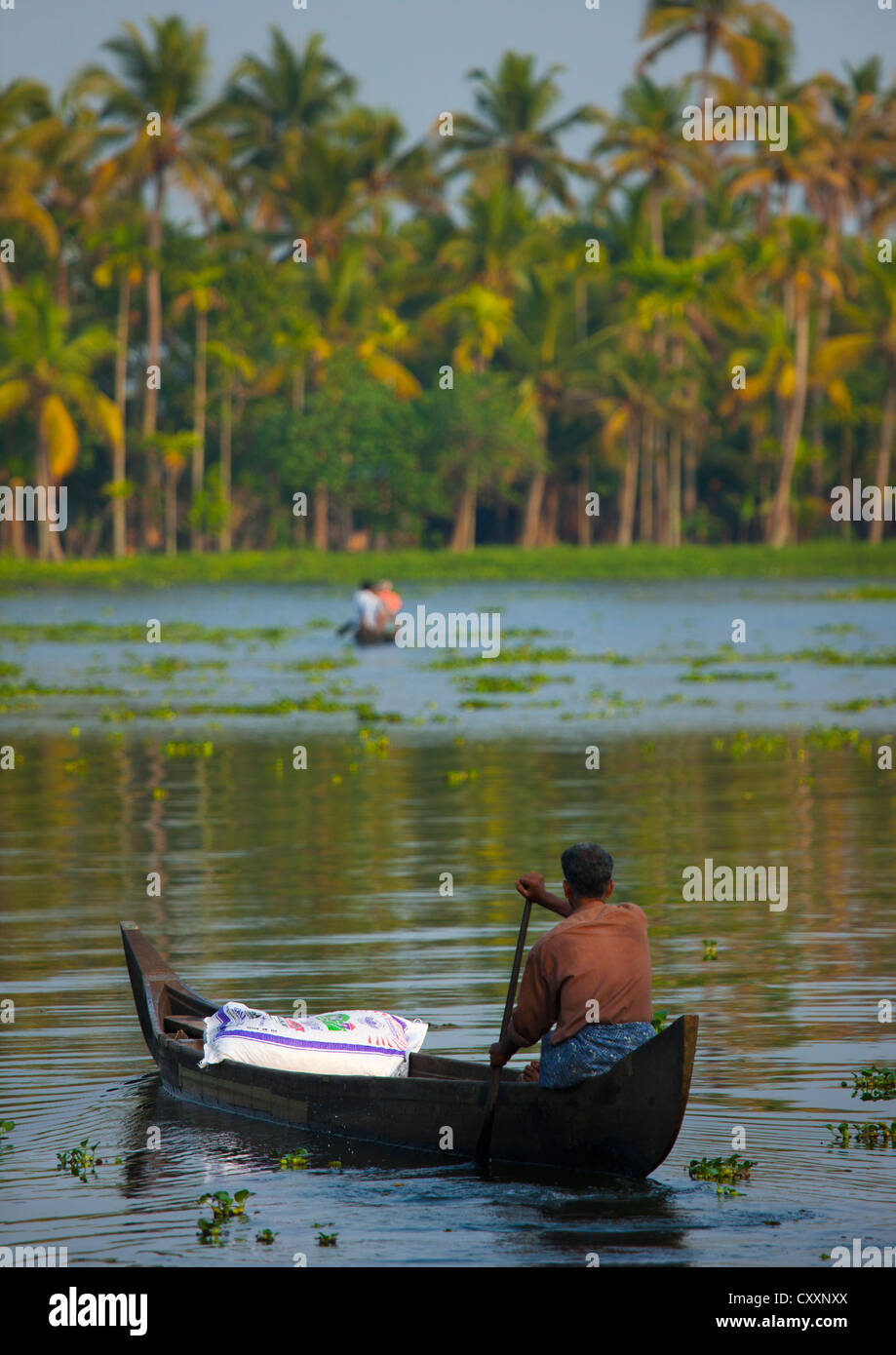 Men Rowing Pirogues In Kerala Backwaters, Alleppey, India Stock Photo -  Alamy