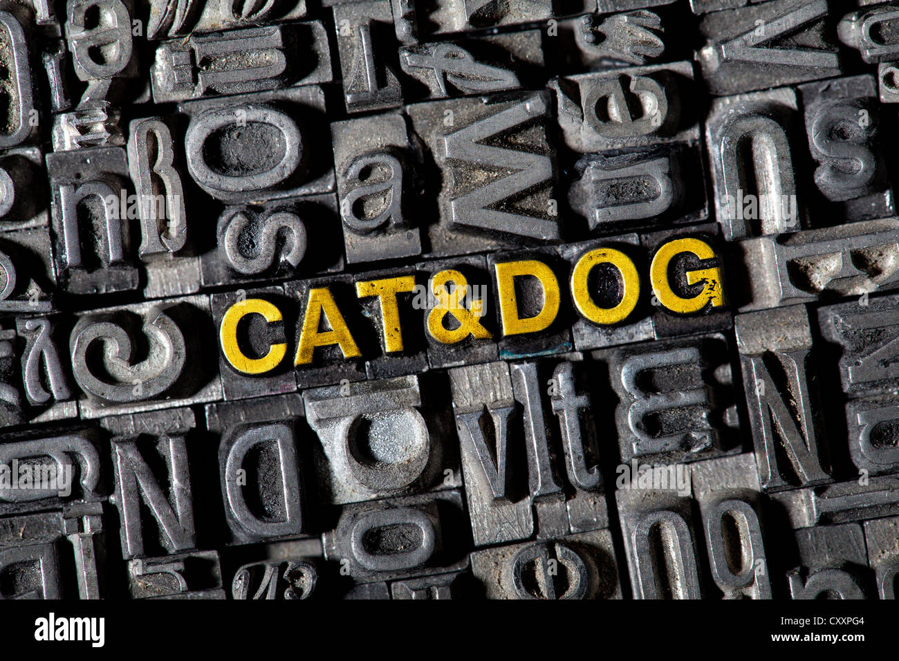 Old lead letters forming the words "CAT & DOG" Stock Photo