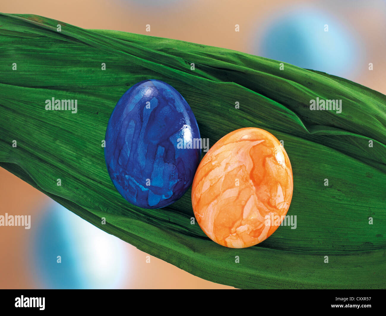 Two eggs on a green leaf Stock Photo Alamy