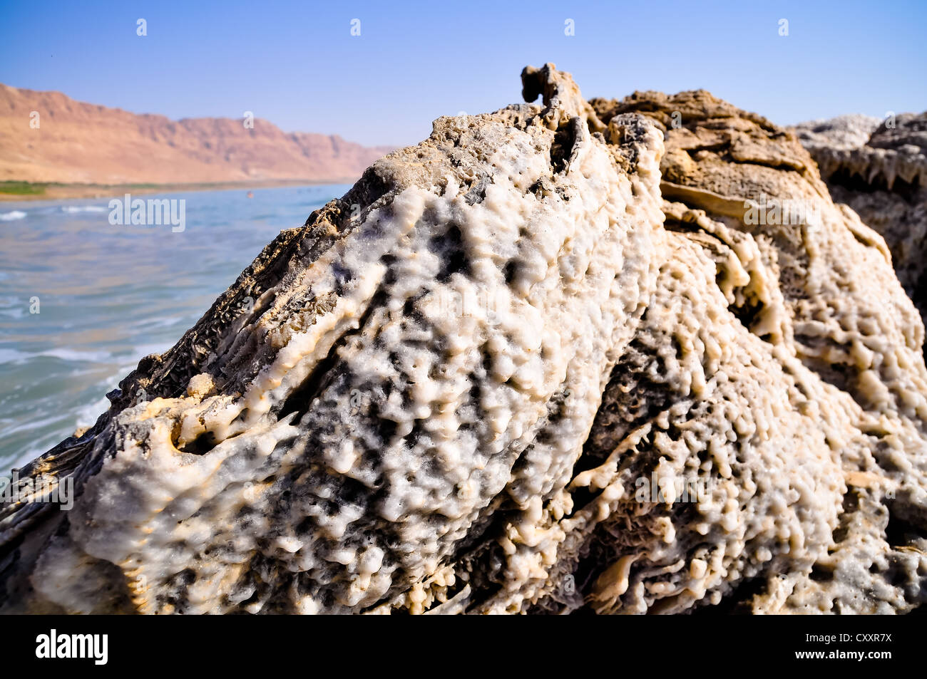Crystalic salt on the beach of the Dead Sea, Stock Photo