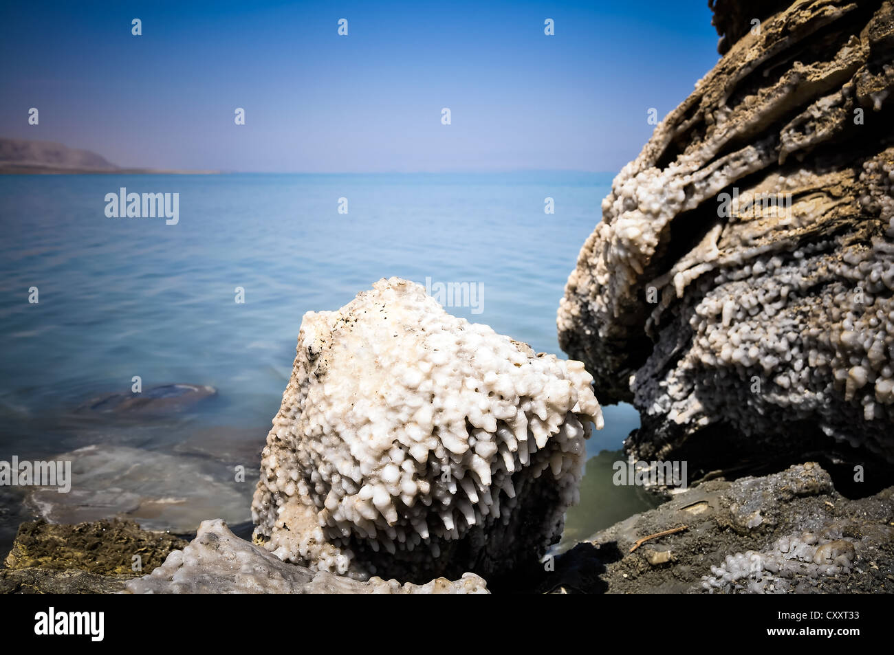 Crystalic salt on the beach of the Dead Sea, Stock Photo