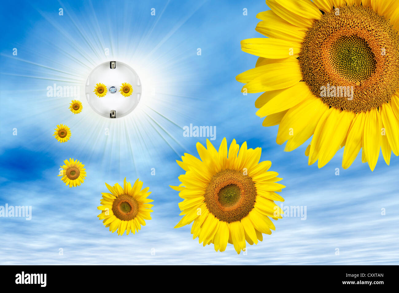 Symbolic image for solar energy, sun flowers flying out of an electric socket with sunbeams in the sky Stock Photo