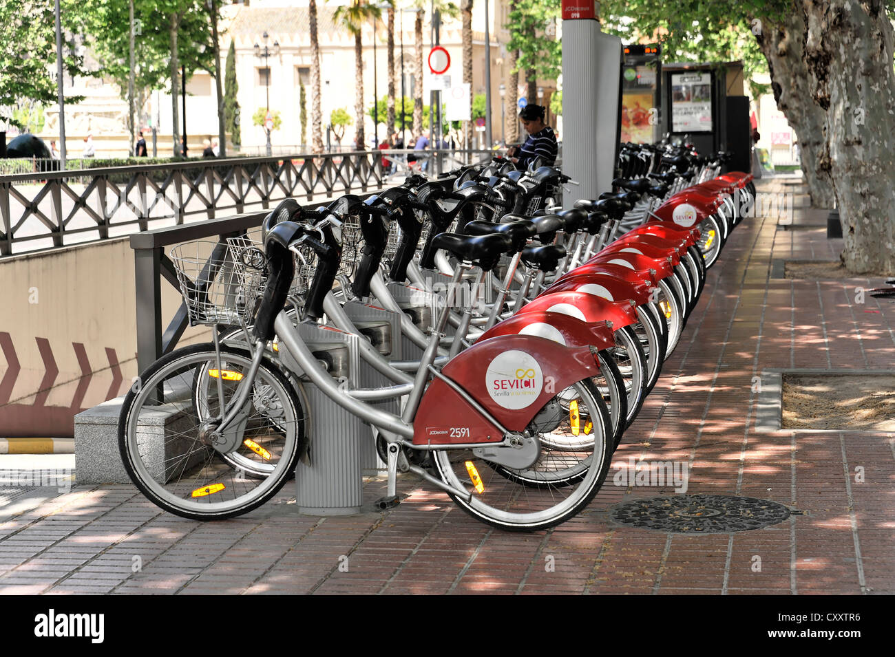 Bikes for rent, bicycle rental, city center, Seville, Andalusia, Spain,  Europe Stock Photo - Alamy