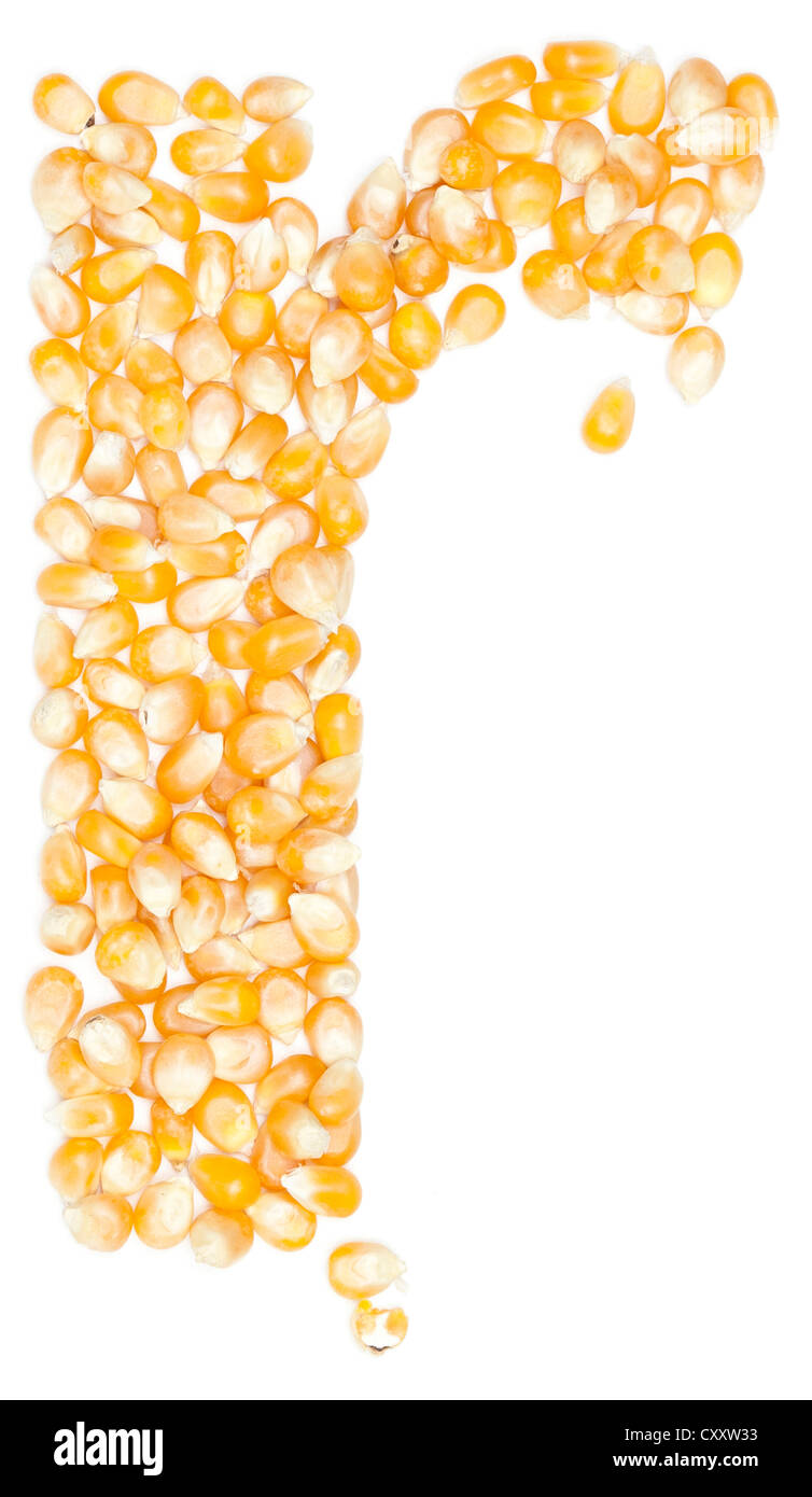 Corn Letter R r,Alphabet from Organic corn beans dry on white Stock Photo - Alamy