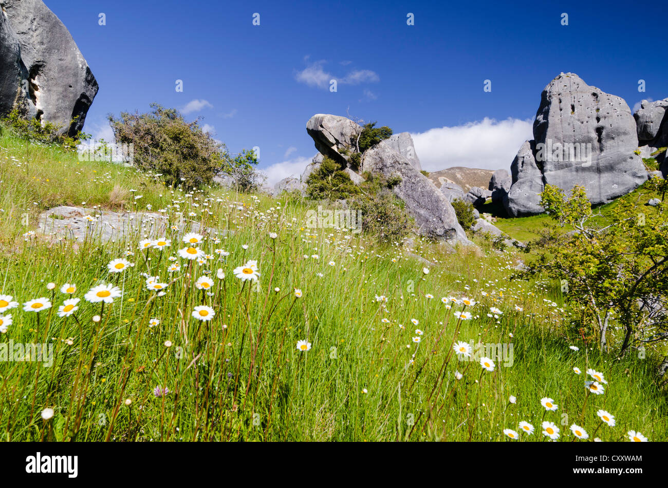 Limestone rock formations on Castle Hill, South Island, New Zealand