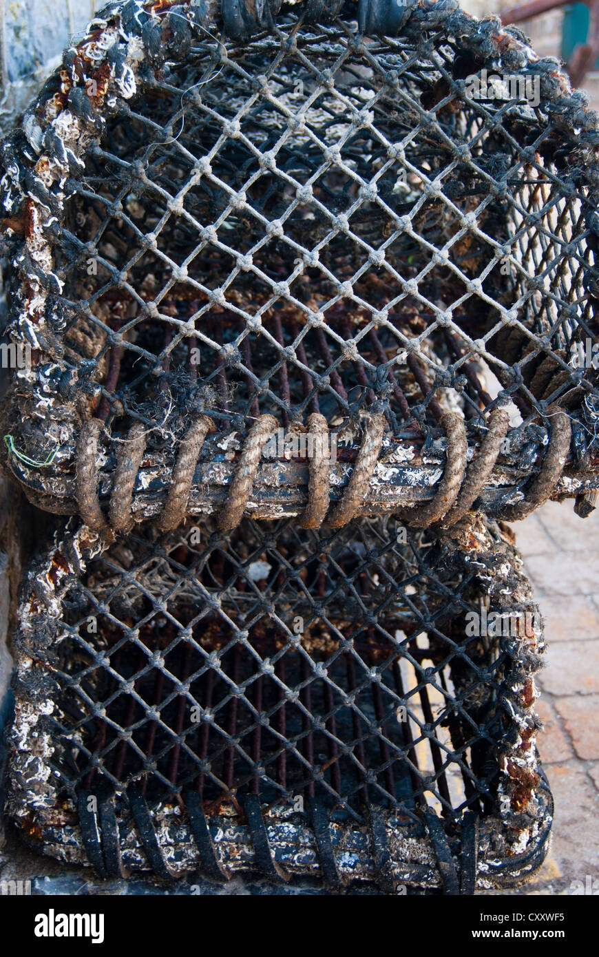 Welsh knot hires stock photography and images Alamy