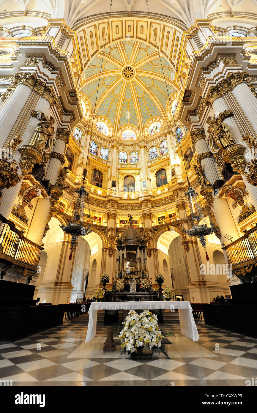 Vaulted ceiling and altar area, Cathedral of Santa Maria de la ...