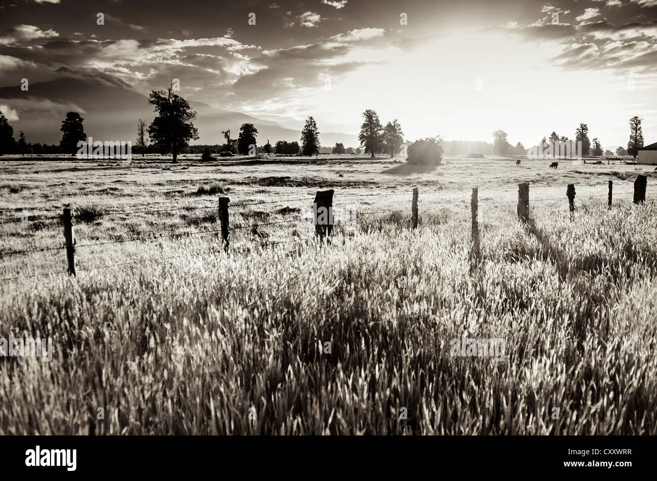 Black and white sunset hi-res stock photography and images - Alamy