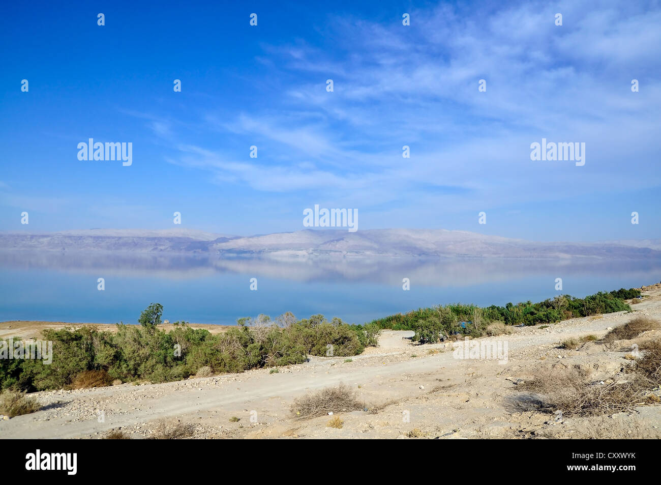 Landscape. Beautiful reflection in the Dead Sea in Israel. Stock Photo