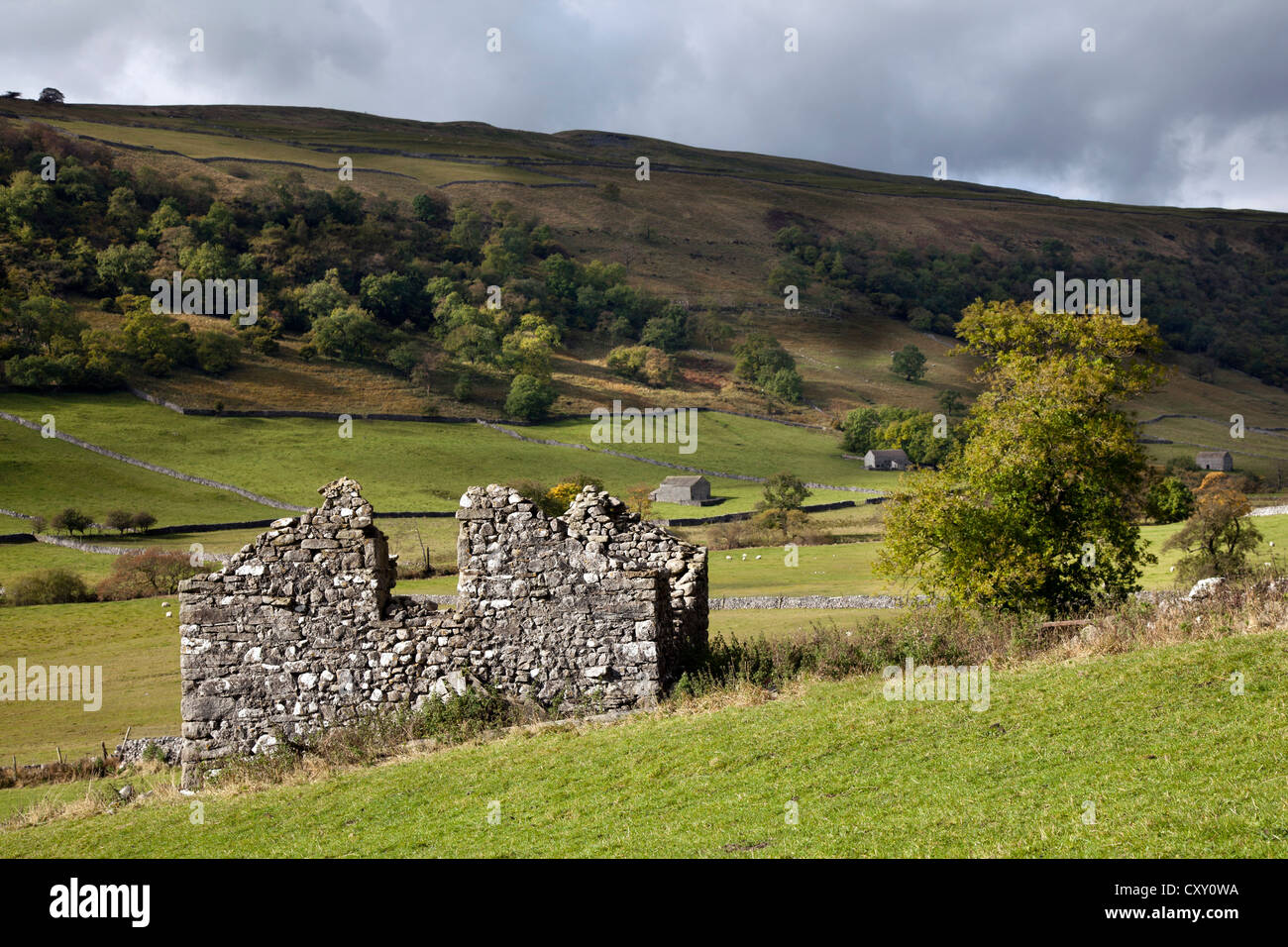 View from footpath from Kettlewell to Starbotton, Wharfedale in Autumn, North Yorkshire Dales, UK Stock Photo