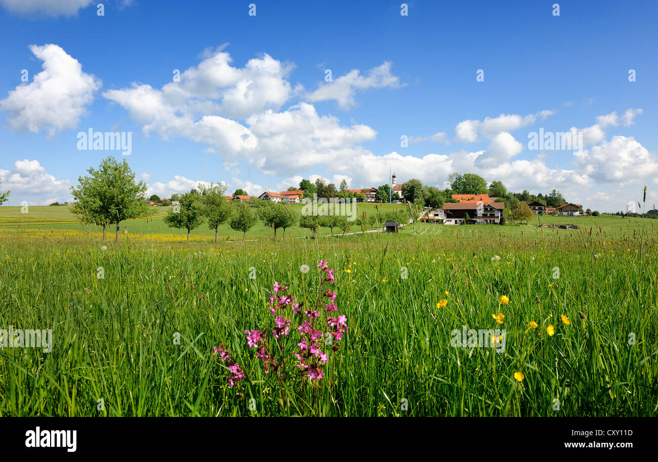 Mountain, Eurasburg, Upper Bavaria, Bavaria, PublicGround Stock Photo
