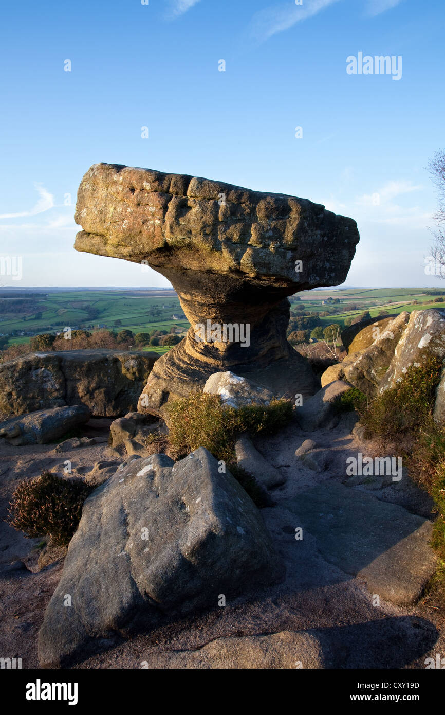 Brimham Rocks balancing natural rock formations in North Yorkshire Dales,  Active kids and visiting tourists at the National Trust Site with holidayin Stock Photo