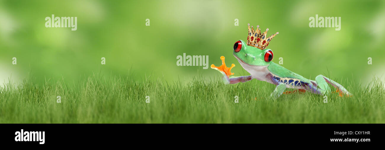 Frog waving illustration hi-res stock photography and images - Alamy