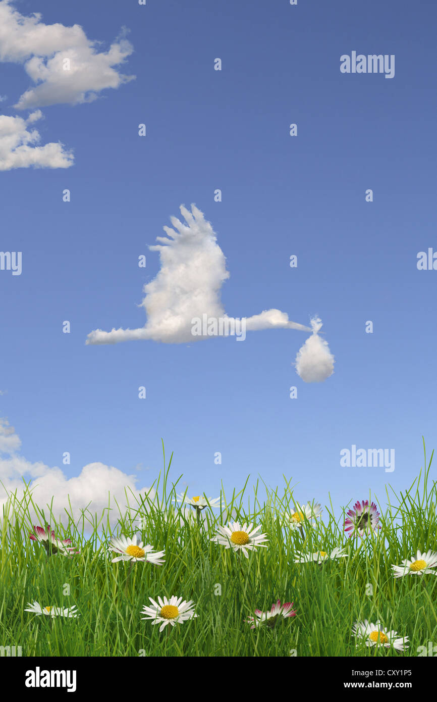 Cloud formation forming the shape of a stork bringing a baby in the sky above a flowering meadow, illustration Stock Photo
