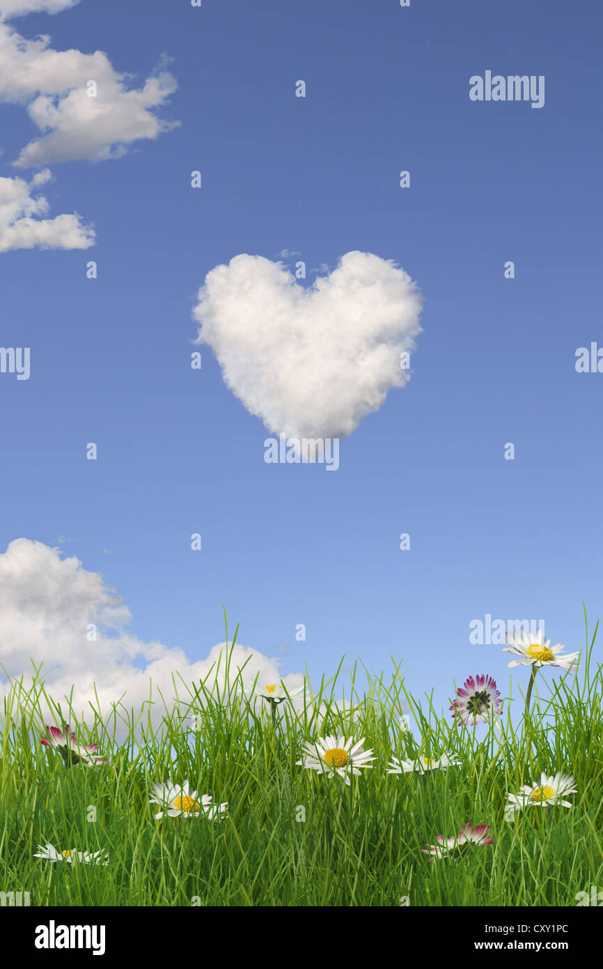 Cloud formation forming the shape of a heart in the sky above a flowering meadow, illustration Stock Photo
